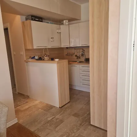 Luxury 3 Bedroom Flat In Tre Canne Next To The ブドヴァ
